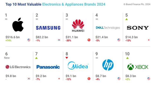 国际排位揭晓！大疆第45传音第36凯时尊龙2024中国电子家电品牌(图3)